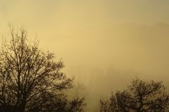 andere002