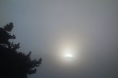 andere006